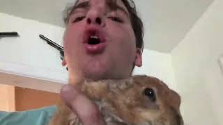 the urban rescue ranch out of context PART TWO