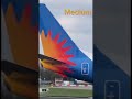 guess the airline For shoutout!