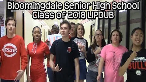 Bloomingdale HS Senior Lipdub 2018