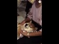 お姉ちゃんに捕獲されて抵抗するが...いつのまにかうっとり💕な柴犬 #Shorts