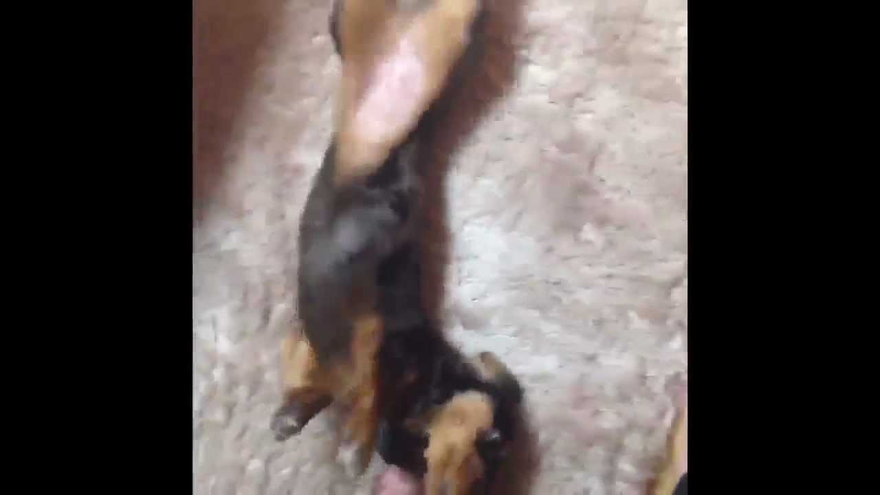 120227 @realjonghyun90