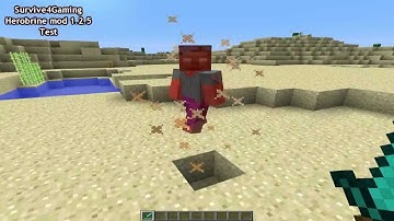 Herobrine  Mod 1.2.5 - Test