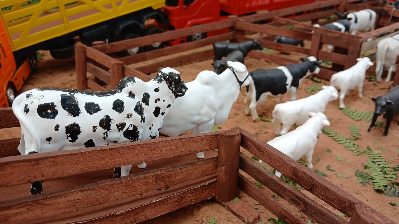DESEMBARCANDO O GADO NO NOVO BRETE#cows#farming#toys#animals