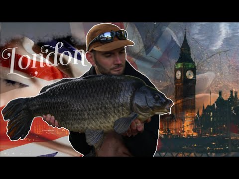In the chaos of London!! (Searching for new waters)