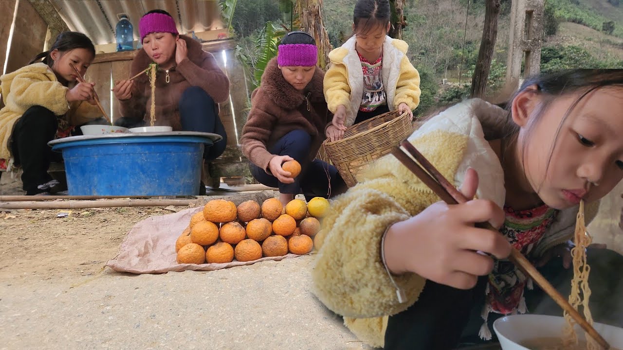 Harvesting oranges at the end of the season sells and cooks instant noodles.