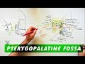 Pterygopalatine Fossa - Boundaries, Communications & Contents