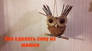 Как сделать сову из шишки