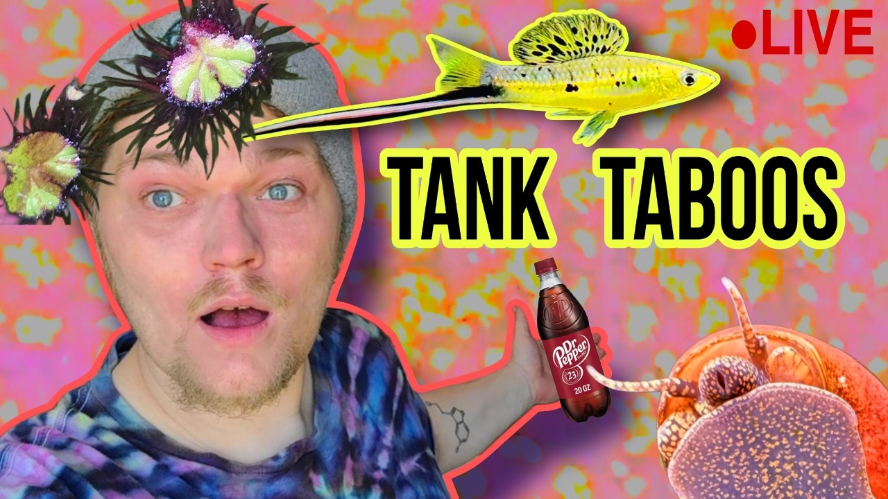The Biggest Tank Taboos: Fishtory LIVE! Open Chat + Q&A + Secret Stuff!