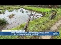 KIUC restores 91% of Kauai power, issues safety reminders