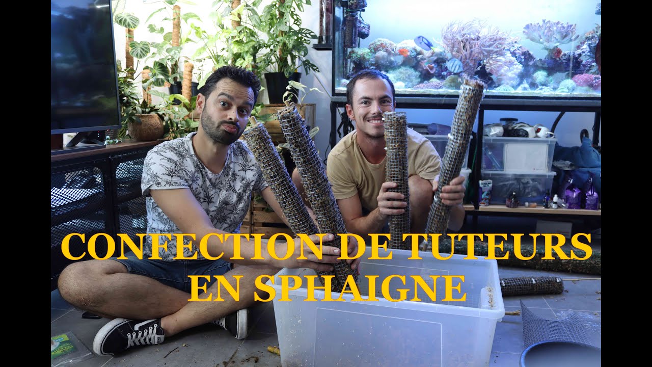 TON TUTO TUTEURS (feat @Jungle_nath)