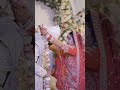 cute couple#wedding #punjabi #shortvideo