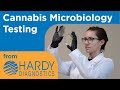 Cannabis microbiology testing from hardy diagnostics