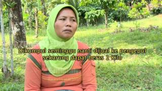 ORANG PINGGIRAN - AYAH KEMBALILAH PULANG