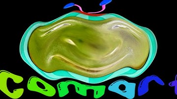 COCOMARTIN Intro Part 10 COCOMELON PARODY - Special Audio and Visual Effects Weird Funny Video Edit