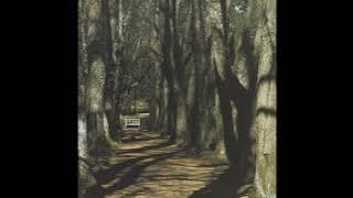 Motorama - Two Sunny Days