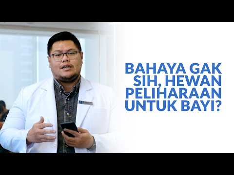 Video: Hewan Peliharaan Dan Bayi Baru Lahir: Mitos Yang Seharusnya Tidak Anda Percaya