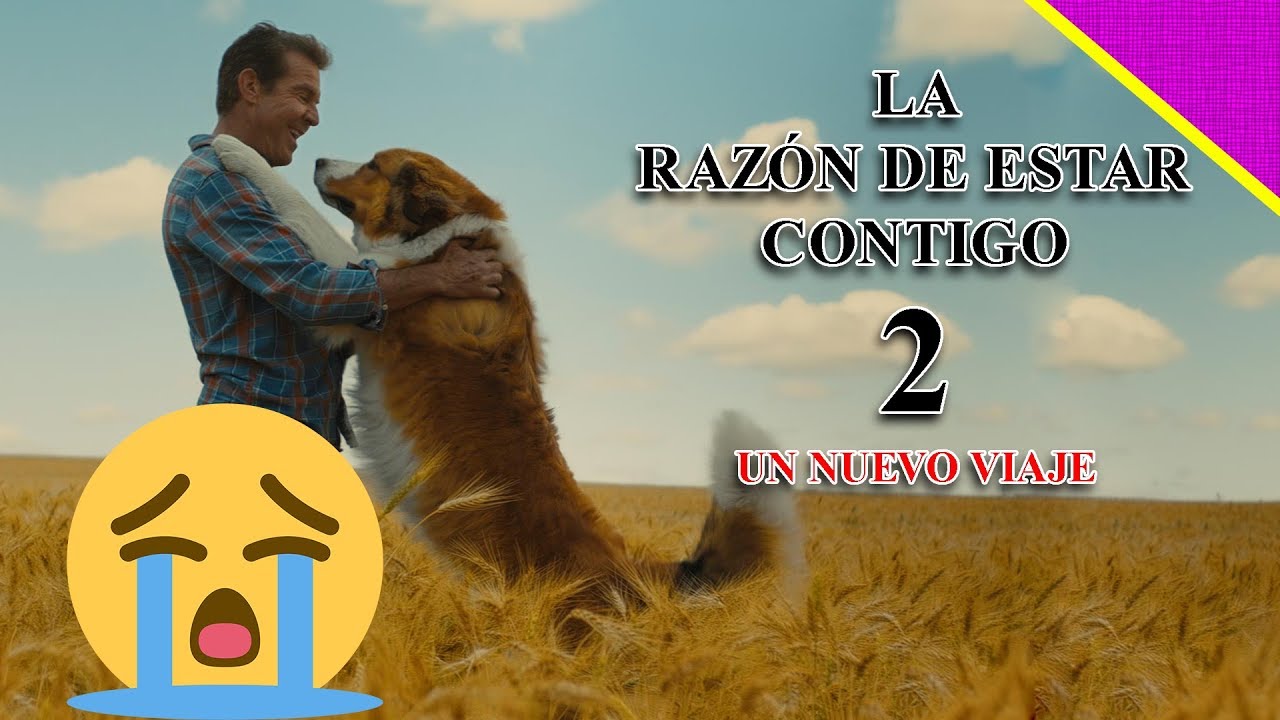 La razón de estar contigo 2: Un nuevo viaje - Lloré demasiado - YouTube