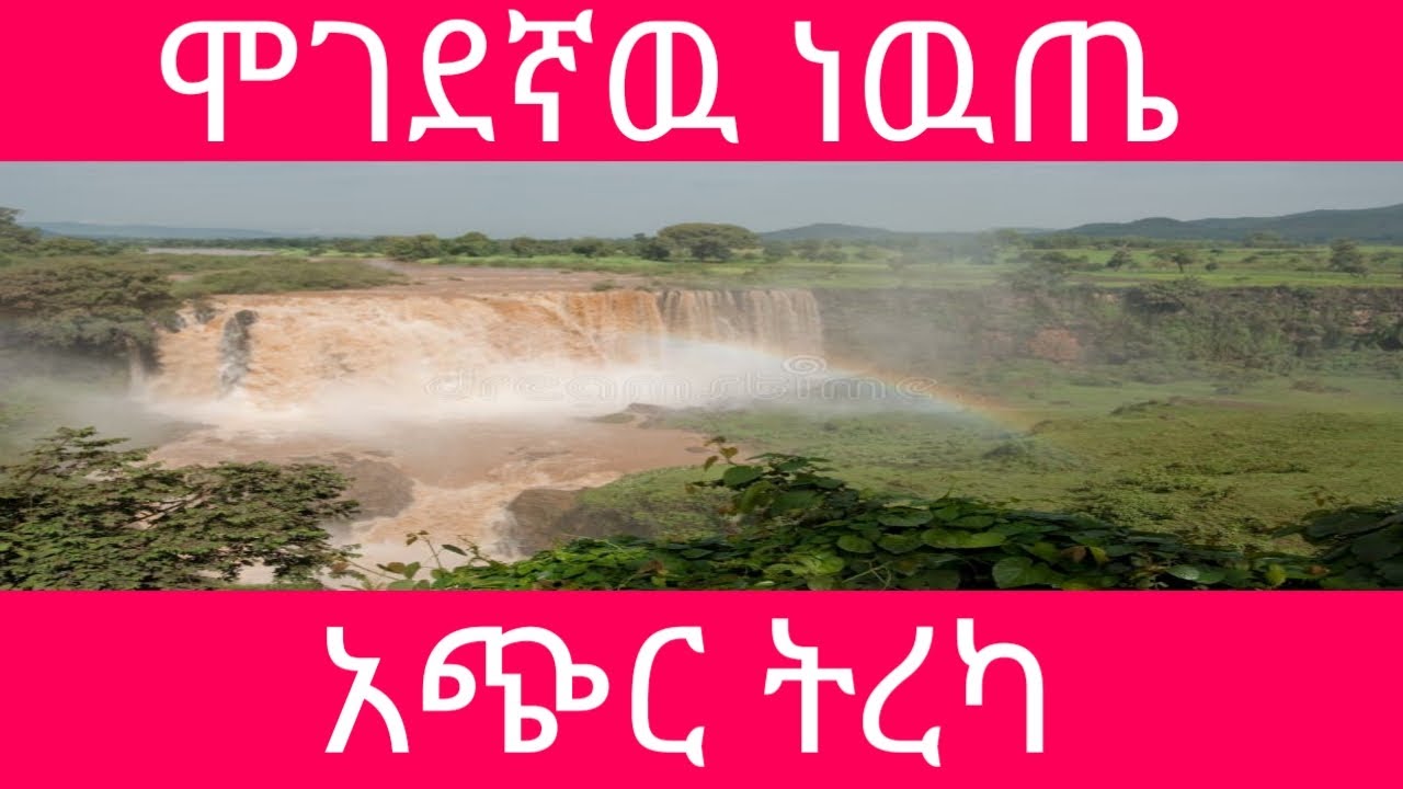 ሞገደኛዉ ነዉጤ አጭር ልቦለድ