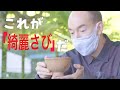 日本の美を解き明かす