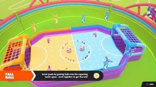 New Fall Guys Bingo No.12 Fall Ball 5 Goals