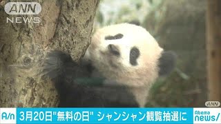3月20日は上野動物園が無料　シャンシャンは抽選で(18/02/14)