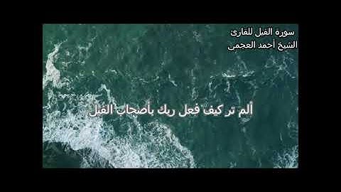 سورة الفيل للقارئ أحمد العجمي تلاوة خاشعة