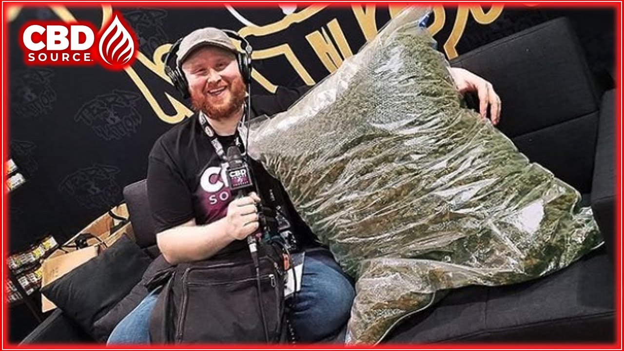 Huge Bags of Hemp and Harold and also Kumar...or just Kumar