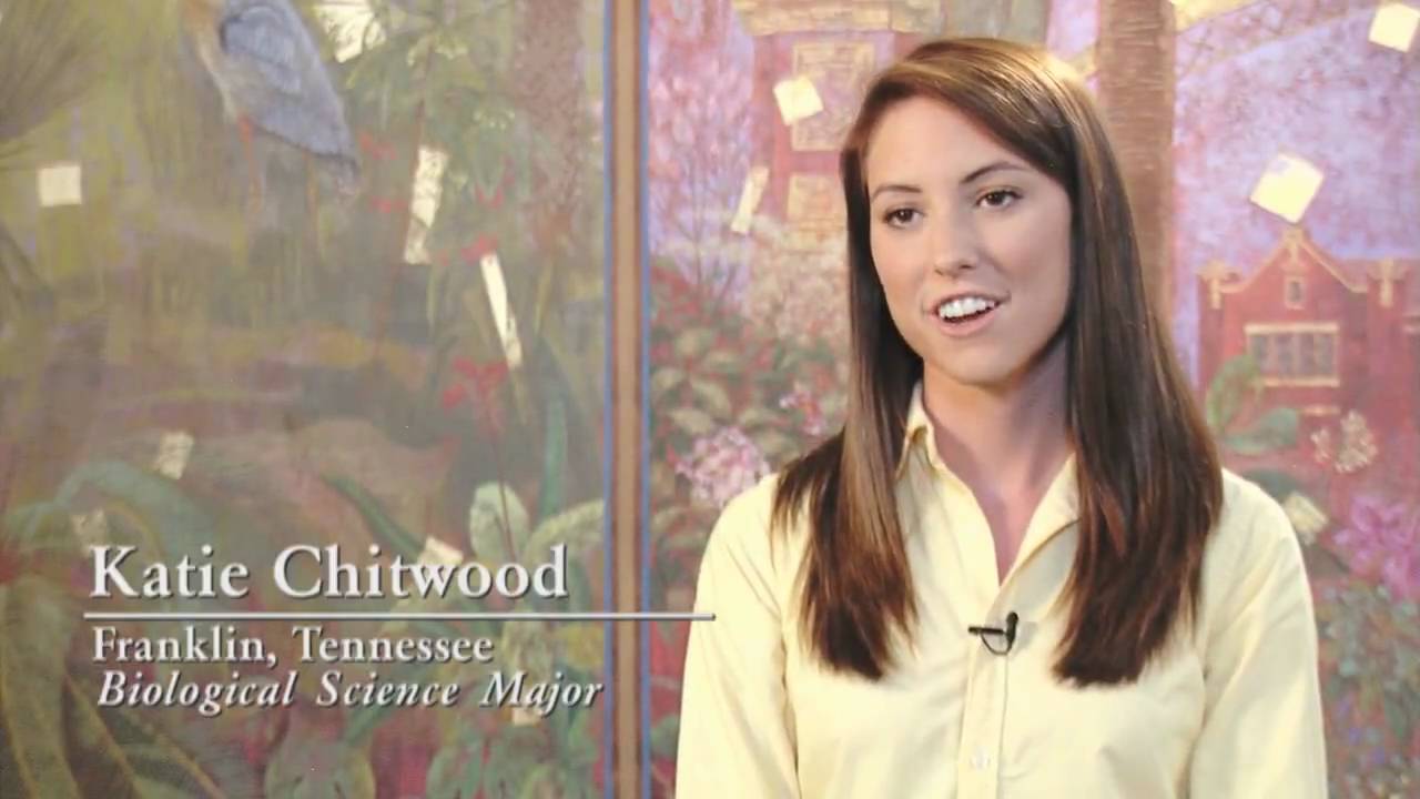 florida state basketball roster Florida State University: Honors Opportunities