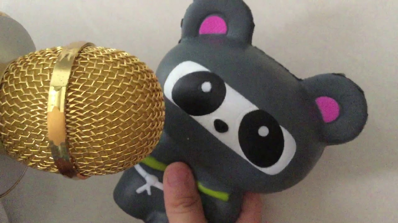 Panda ninja gets interviewed