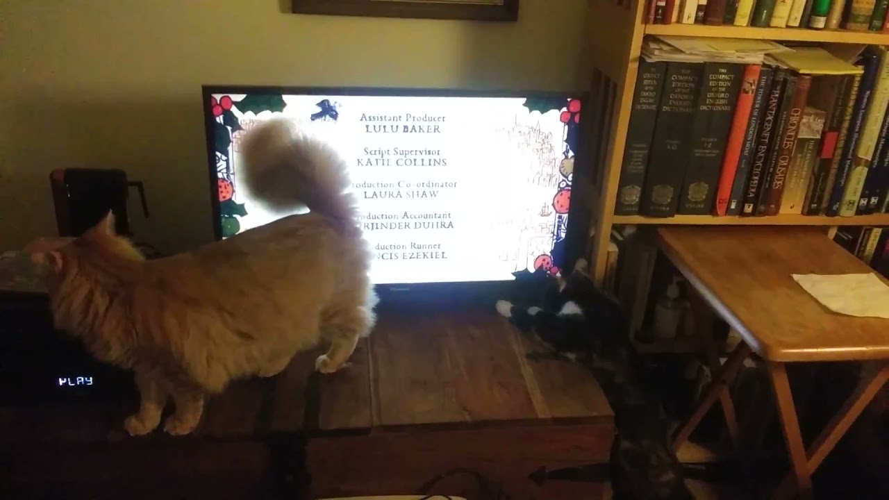 Ursula & Sylvester with Upstart Crow