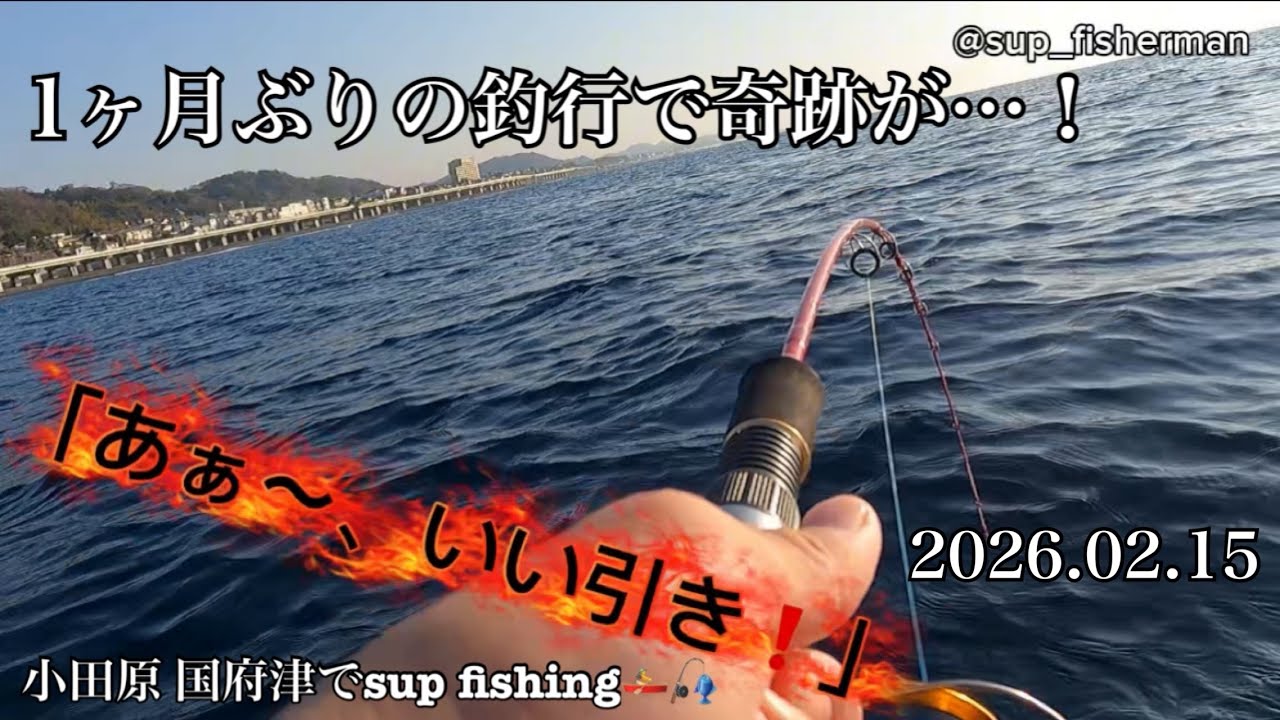 2026.02.15 sup fishing🚣‍♂️🎣1ヶ月ぶりの釣行！　小田原国府津