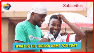 What is the English name of Goat 🐐🤔 (street quiz 😂😂😂)