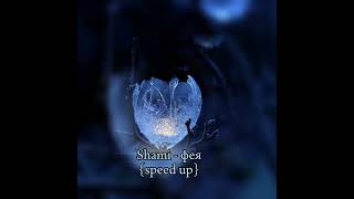 Shami - Фея - Speed up
