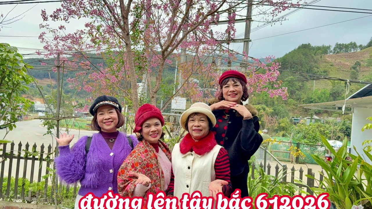 dulichmucangchai6/1/2026