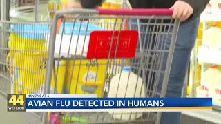 Avian flu detected in humans