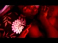 LOS "ANGEL" OFFICIAL VIDEO
