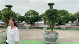 Du Lịch Sinh Thái Dũng Tân- Tp Sông Công Thái Nguyên