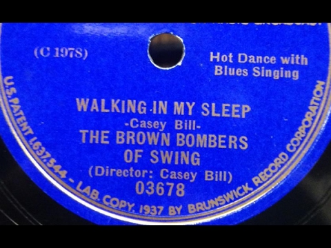 Brown Bombers Of Swing Walking In My Sleep Casey Bill Blues Slide Guitar 