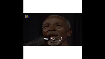 ㅤ شرحبيل احمد الليل الهادي 