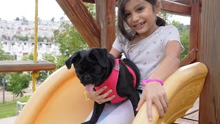 Pan Y Chuti Conocen Nuestra Nueva Casa