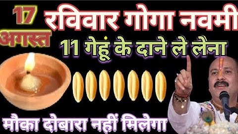 17 अगस्त रविवार गोगा नवमी को 11 गेहूं के दाने वाला उपाय जरुर करे || Pradeep Ji Mishra #upay 