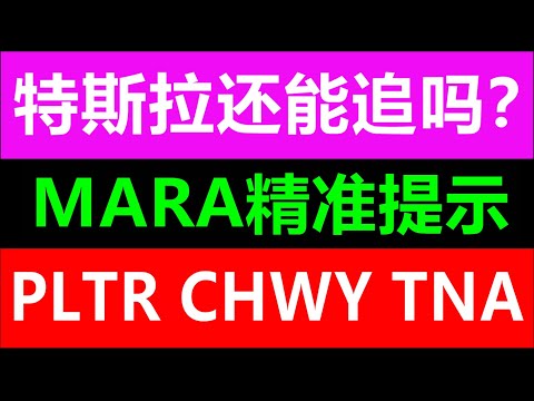 美股老司机：特斯拉暴涨还能追吗？人工智能继续爆火！SPY QQQ TSLA NVDA AMD META MARA PLTR TSM SOXL TNA CHWY  2月16日