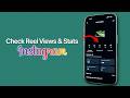 How to Check Reel Views on Instagram?