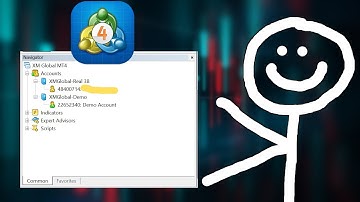 MT4 Navigator Window Guide: Accounts, Indicators & More - XM.COM