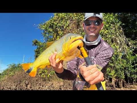 😱 O Paraíso da Pesca Existe! Nossa Jornada de 1.000 KM até o Pantanal