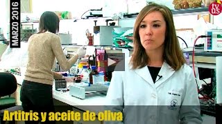 Artritis y aceite de oliva  Investigación en la Universidad de Sevilla