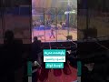 لحظة هجوم نمر على عامل في سيرك في مصر 