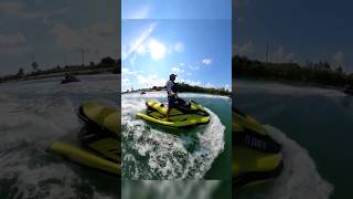 endless summer feeling