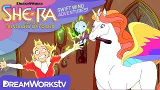 Swift Wind Adventures: A Princess Birthday Party! | SHERA AND THE PRINCESSES OF POWER (NEW SHORTS)