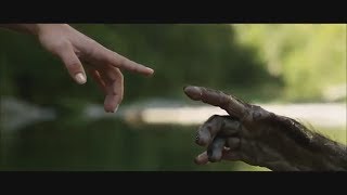 All I need - Lucy(100%)